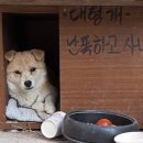 없음 네이버블로그