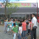 강촌키즈태권도 이미지