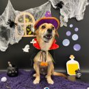 서운사거리 (까치마을 앞) | 기다리던 10월