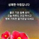 승리다이어트