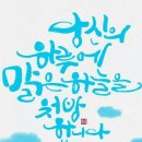 참사랑 안경 Daum카페