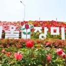 큐피드 푸드트럭 Daum카페