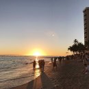 ㈜모아관광여행사 | 하와이 신혼여행 경비 비행기 숙소 관광 일정 종합 정리