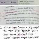 insist에 대해 질문이 있습니다. 이미지