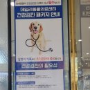 정직한동물의료센터 이미지