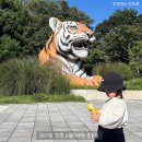 다보아 안경 과천점 | 과천 서울대공원 아기랑 동물원 입장료 코끼리열차 할인 주차