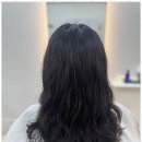 봄 헤어 살롱