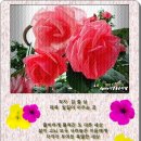 김*출 네이버블로그