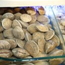 금호스포츠센터 이미지