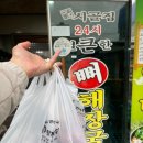 앵무새 노래연습장 이미지