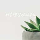 (주) 세온행정사 사무소 이미지