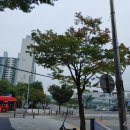 관저한사랑의원 이미지