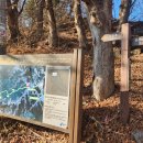 오포그랜드사우나 이미지