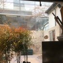 수영세무서 | [부산/수영]🍋소바재우재_내돈내산 솔직후기(유자소바, 평일웨이팅)