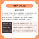 나우렌트카 이미지