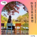 다알리아G | 가평 아침고요수목원 단풍 국화가 이쁘게 물든 가을여행지(+입장료할인 꿀팁)