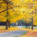 지식정보단지역4번출구 이미지