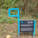 동복마을운동장 이미지