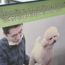 간판봄