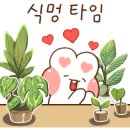 4월의정원