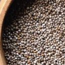 들깨나라 이미지