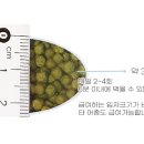 코이푸드 네이버블로그