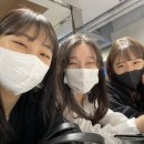 이대연어 이미지