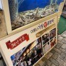 해성산곰장어