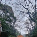 달마산 &amp;달마고도 이미지