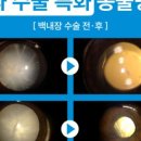 창문동물병원 이미지