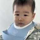 (주)바텍 | [내돈내산] 6개월 아기 아이주 자기주도 이유식 방수 턱받이 긴팔오픈형 프레첼 솔직후기