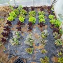 산우농장 이미지