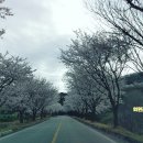 남부권 코스 이미지