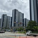 (주)영그린 Daum카페