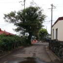 중앙로길 이미지