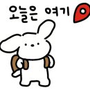 광진백화점약국 이미지