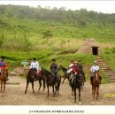 훼밀리승마클럽 이미지