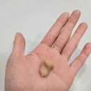 청담보청기 | 👂✨ 가족과 함께 알아본 청력 관리 이야기, 청담보청기 방문 후기 ✨👂