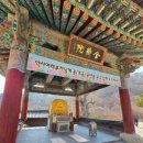 양평친환경농업박물관 | [양평]용문사ㅡ양평친환경농업박물관