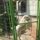 라피드모터스 이미지