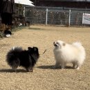 몽드드뚜뚜 이미지