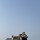 크로스핏 라온3 | 제주 한 달 살이 꿀팁과 소소한 제주 기록