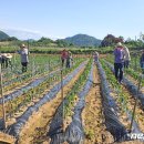 관촌면사무소 이미지