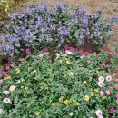 암사역사공원 이미지