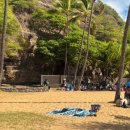 테티스 호텔 | 하나우마베이 예약 방법 예약사이트 스노쿨링 준비물 하와이 여행 꿀팁