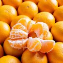 화이트짐 용인 동백점 이미지