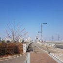 시외버스터미널 페달로옆 이미지