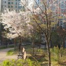 더포근한공인중개사사무소 이미지