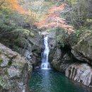 지리산계곡 Daum카페