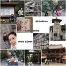 신궁교 이미지